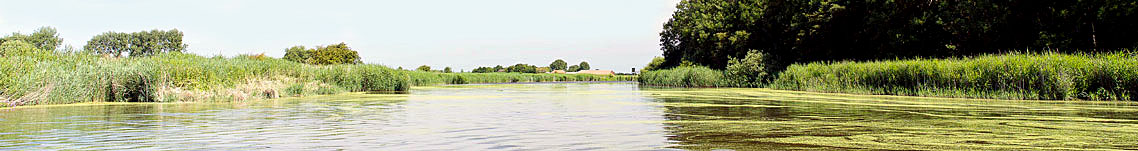 Umgebung rund um Norddeich